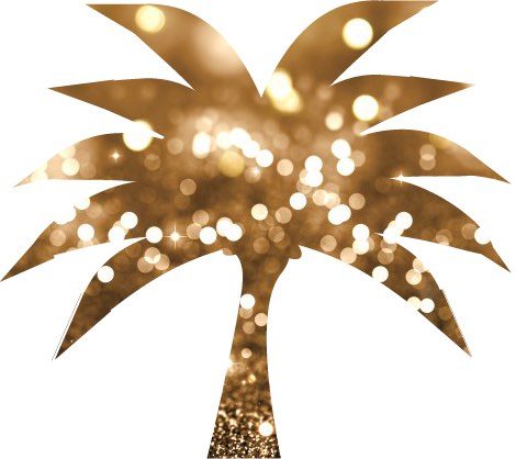 Bronze Palms Spray Tans - Campbell, Gilroy, San Jose, Willow Glen